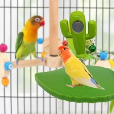 Parrot Toy Bird Cage Accessory Educational Playground Bird Perch Stand Chewing Educational Speelgoed price