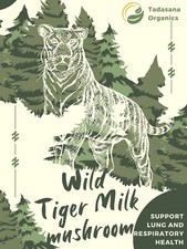 Wild Tiger Milk Mushroom Lignosus rhinocerus Respiratory Immune Support 60 caps Milk price