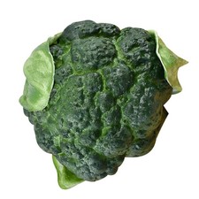 Imitation Broccoli Model Artificial Broccoli Simulated Broccoli Vegetable Model Groenten price