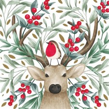 Paperproducts Design Bird & Buck 3-Ply Lunch Napkins, 6.5", Multicolor, 20 Pack Napkin price