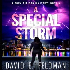 A Special Storm Crime fiction Novels David E. Feldman Paperback A Crime Fiction price