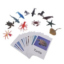 12 Sets Education Animals Toy  Model Card Naming Card Match Marine Organism Onderwijs Sets price