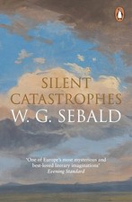 W.G. Sebald - Silent Catastrophes   Essays in Austrian Literature - Pa - H245z German-Austrian Literatuur price