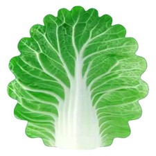 Soft Cabbage Blanket Funny Novelty Blanket 85x85cm N6J76656 Blanket price