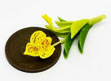 Tumdee Orchidee 1:12 Blumen Accessoire für Puppenhaus Garten 1-tlg. Bunt Tuin Accessoire price