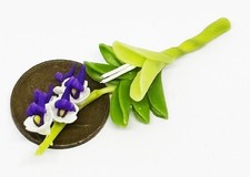 Tumdee Puppenhaus Blumen & Ranken 1:12 Orchidee Accessoire Garten Deko 18tlg Tuin Accessoire price