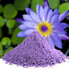 Blue Lotus Flower Powder | Natural Organic Water Lily | Food Grade Herbal Tea Organic producten price