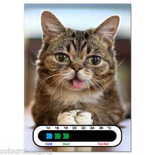 Meow Mix Cat Room Thermometer - Also Great for children Thermometer price