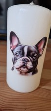 Decorative Candle French Bulldog Dog Gift Birthday Decoratief Candle price