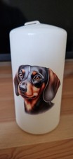 Decorative Candle Dachshund Dog Gift Birthday Decoratief Candle price