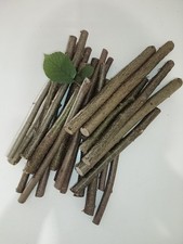1 kg frisches Haselnuss Naturholz Nagerholz Bastelholz Voeding price