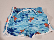 Koala Baby Swimsuit/Trunks Boy's Size 3 Months Baby Swimsuit price
