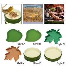 Reptile Bowl Water Dish Feeding Plate Smooth Surface Small Reptile Feeding Dish Feeding Plate price