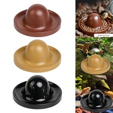 Reptile Feeding Dish Pet Turtle Feeding Plate for Gecko Hermit Crab Tortoise Feeding Plate price