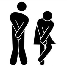 TOILET DOOR SIGN STICKER Toilet Sticker price