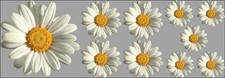 Daisy Flower Car Stickers Graphics Nursery Wall Window Decorations Art & Craft Baby Room Wall Decor price