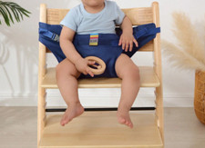 Portable Highchair for Babies &Toddlers -Restaurants, Travel Booster Seat (Blue) Portable High Chair price