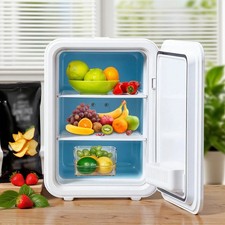 10L Fridge Car Refrigerator Freezer Cooler & Warmer for Home Use Travel Camping Car Refrigerator price