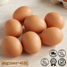 Pack of 6 Dummy Wooden Chicken Hens Nest Eggs Poultry Fowl Farming Tool Fake Egg Eggs price