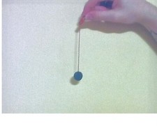MAGNETIC SEXER FOR HATCHING EGGS DAY OLDS QUAIL  DUCKS  ALL POULTRY PIGEONS Eggs price