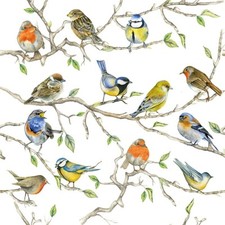 4 x Single Paper Napkins/3PLY/33cm/Decoupage/Assorted Garden Birds Napkin price