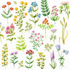 4 x Single Paper Table Napkin/3-Ply/Decoupage/Flowers/Assorted Wild Flowers Napkin price