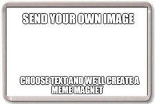 FRIDGE MAGNET - CUSTOM MEME - Large - Personalised Create Your Own meme Fridge Magnet price
