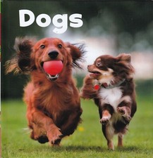 Dogs Children's Fact Learning Book age 4-8 New Lots of Pictures Education Children's Novel price