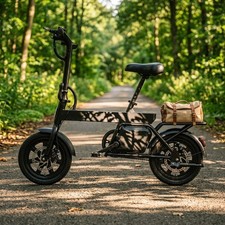 2026 RA New Folding E-Bike for Adults 250W 36V City Electric Bike 120KG Load Electric Bicycles price