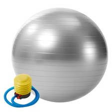 55/65/75CM Exercise Ball Yoga Pilates & Balance  with Quick Foot Pump Pilates Ball price