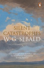 Silent Catastrophes: Essays in Austrian Literature by Sebald W G (PB 2026) German-Austrian Literature price