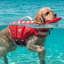 Adjustable Float Life Jacket Dog High Buoyancy Puppy Swimming Safety Preserver Life Jacket price