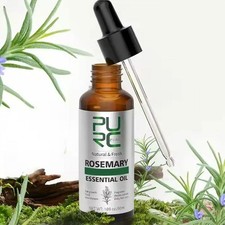 Rosemary Oil Hair Growth Products for Man Women Ginger Anti Hair Loss Fast Regro Hair Loss Products price