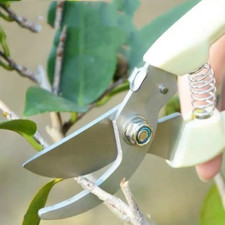 Gardening Secateurs Garden Pruning Shears Trimmer Pruner Scissors Bulk Available Pruning Shears price