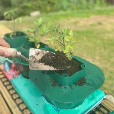 Planting Guard for Tomato Growbag Pot - Keeps Watering Trough Clear of Soil Watering Trough price