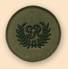 NEW OFFICIAL Royal Marines Kings Badge Award ( SBS SBS price