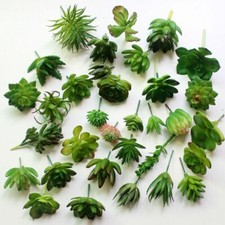 UK Artificial Flower Succulent Plant Fake Mini Vivid Lotus Home Garden Supply Garden Supplies price