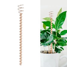 Garden Plant Support Stake Stand Climbing Rack Flower Plant Support Supplies Garden Supplies price