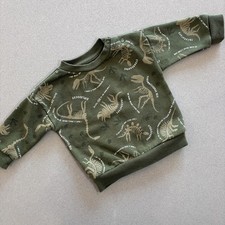 Baby Boy 3-6 months Primark Green Dinosaur Sweatshirt (44 14) Baby Sweatshirt price