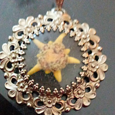 Silver Colour Round Pendant Necklace, Metal, No Stone Coloured Stone Necklace price