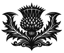 Scottish Thistle Decal Stickers Choose Your Size & Colour Living Room & Lounge Set price