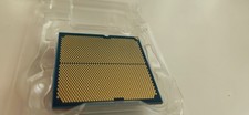 amd ryzen 5 9600x processor Processor price