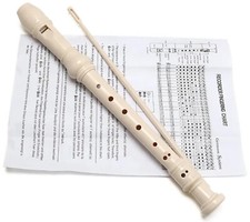 Traditional Recorder Beginner Musical Instrument & Instructions and Cleaning Rod Recorder price