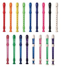 School Descant/Soprano Recorder, Case & Chart 17 Colours EXTRA DISCOUNT FOR 2+ Recorder price