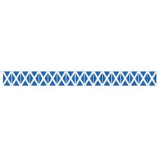 Scotland Flag Plastic Pennant Bunting 5m Flags & Pennants price