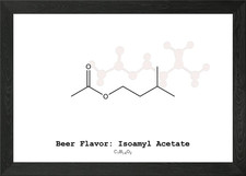 Isoamyl Acetate Framed Wall Art Poster Canvas Print Picture Photo Papers & Acetates price