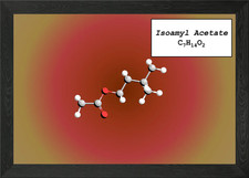 Isoamyl Acetate Framed Wall Art Poster Canvas Print Picture Photo Papers & Acetates price