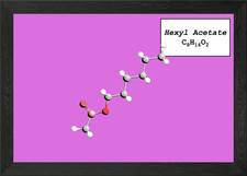 Hexyl Acetate Framed Wall Art Poster Canvas Print Picture Photo Papers & Acetates price