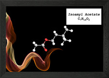 Isoamyl Acetate Framed Wall Art Poster Canvas Print Picture Photo Papers & Acetates price