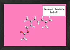 Geranyl Acetate Framed Wall Art Poster Canvas Print Picture Photo Papers & Acetates price